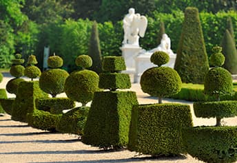 Versailles