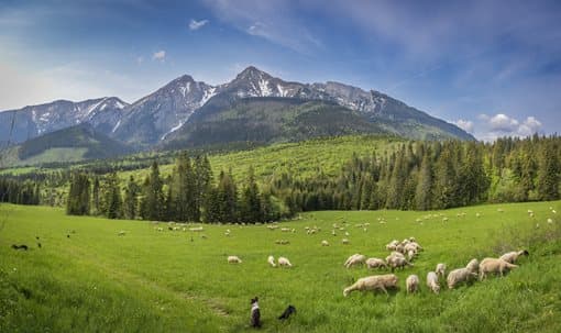 image of Počasí na Slovensku