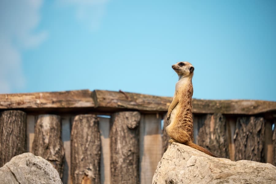 AXA-nejvetsi-zoologicke-zahrady-na-svete