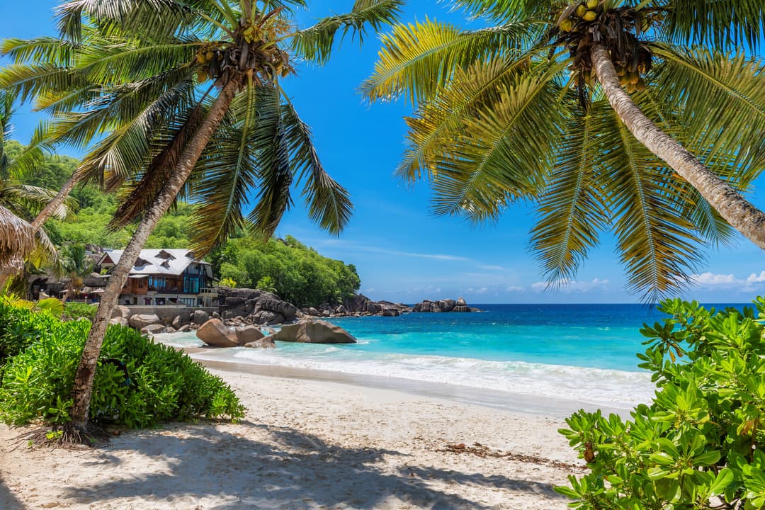 zanzibar