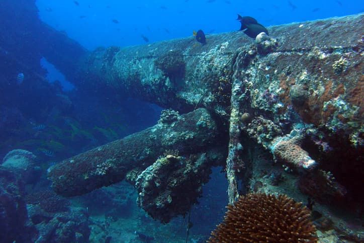 Thistlegorm