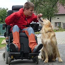 AXA-pes-pomuze-4.jpg
