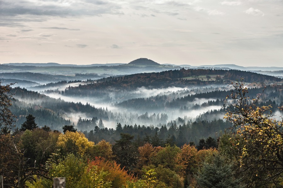 Cerny-les-v-Nemecku-(1).jpg