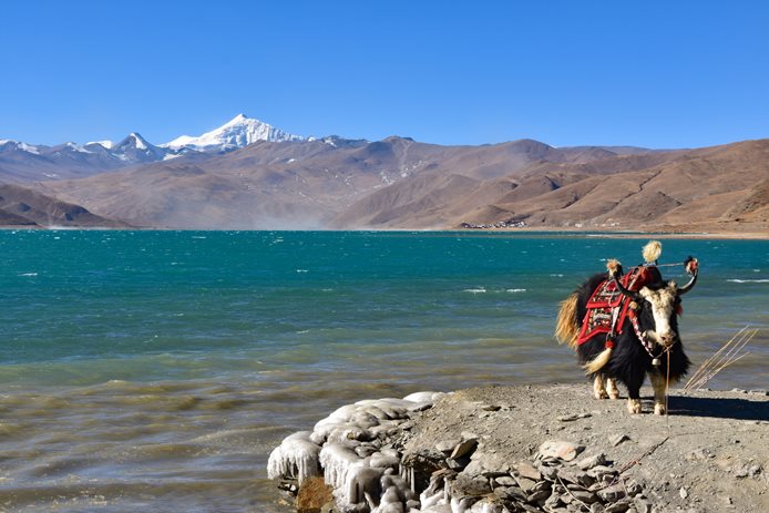 Tibet